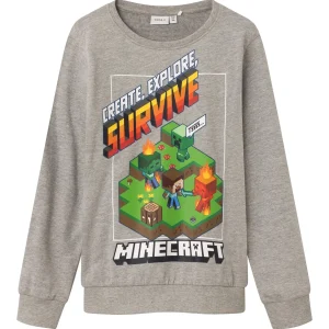 Minecraft tröja