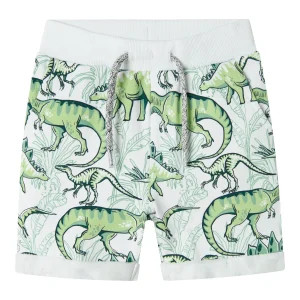 Sweatshirt Shorts Dino