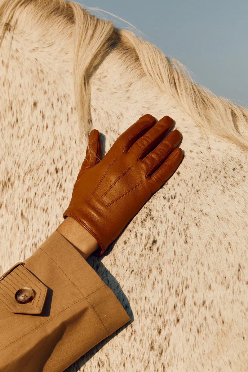 Sanvi Lädeshandskar