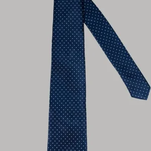 Slipsset Navy Dots - Cavani